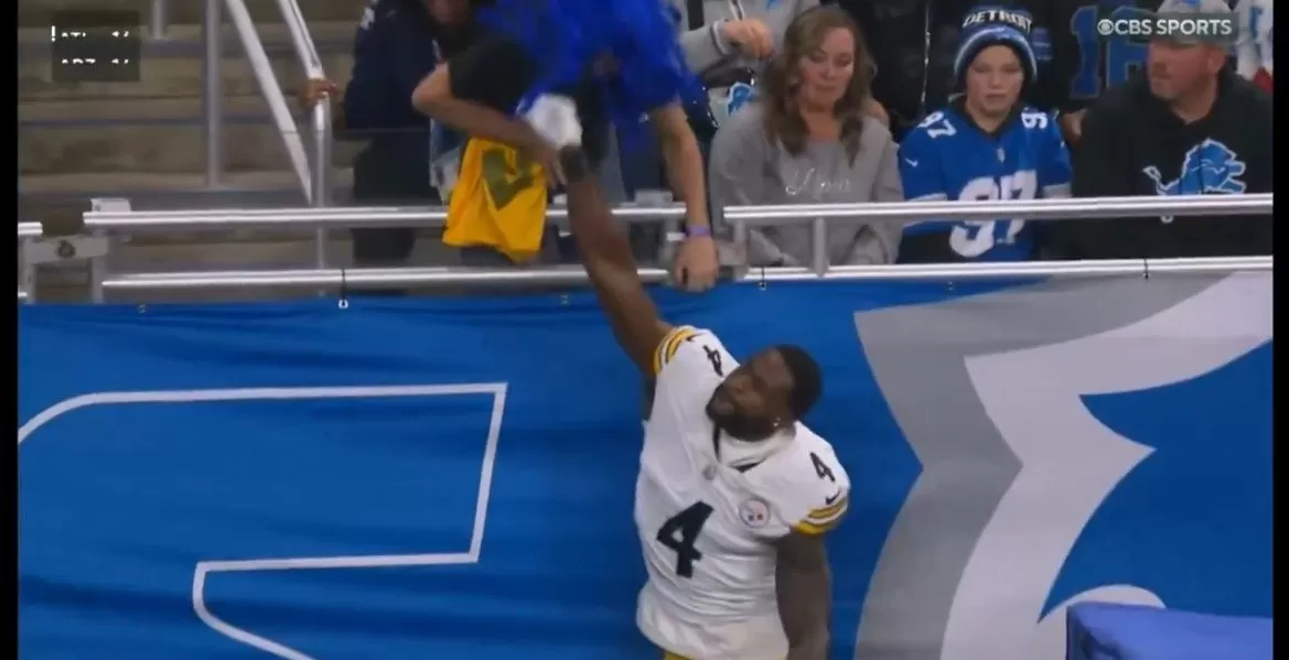 Steelers Receiver Suspended After Throwing Punch at Lions Fan (VIDEO)
