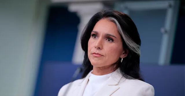 Exclusive: Spy Chief Tulsi Gabbard Visited Fulton County Election Site to Ensure 'Integrity of Our Elections'